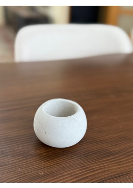 Sukulent Saksısı Boyanabilir modelleri