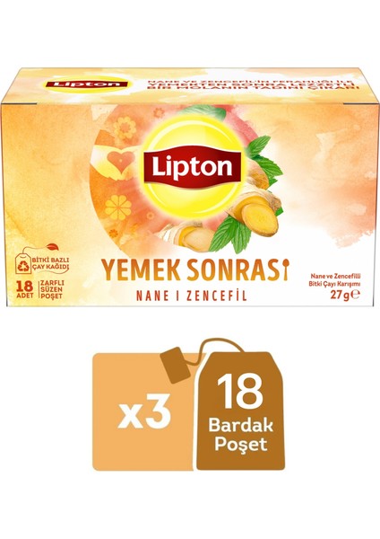 Yemek Sonrası Nane ve Zencefil Bitki Çayı Karışımı 18LI x 3 Adet