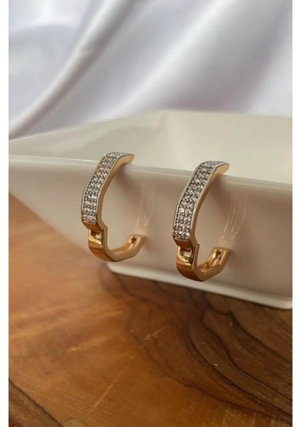 Tasarım Gold Çelik Küpe 14-Xpng-Kp fırsatları