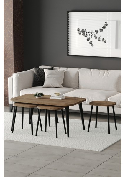 Zigon ve Orta Sehpa 5'li Takım , Metal Ayaklı , Roma 4+1 Sehpa , Siyah Metal - Atlantik Çam Tabla fiyatları