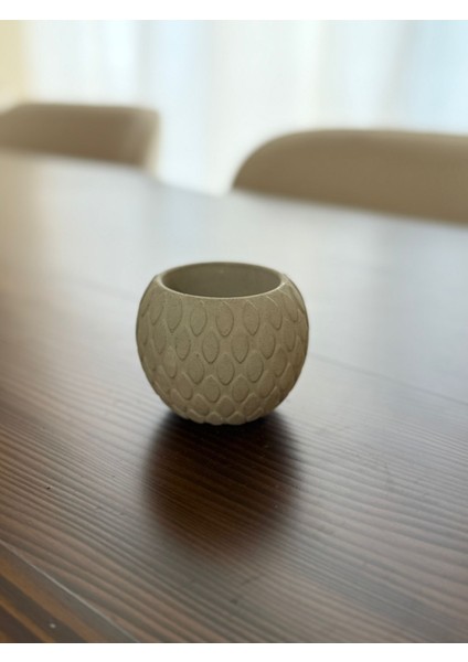 Sukulent Saksısı Beton Boyanabilir modelleri