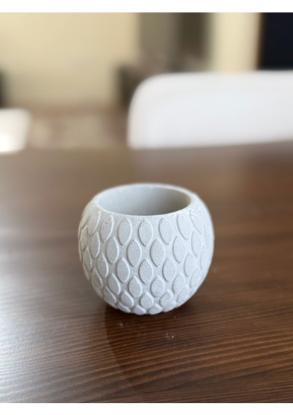 Sukulent Saksısı Beton Boyanabilir