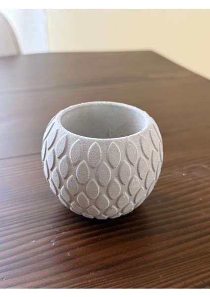 Sukulent Saksısı Beton Boyanabilir fiyatları