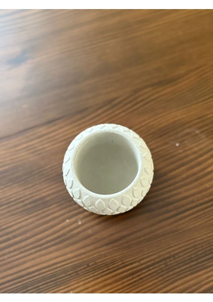 Sukulent Saksısı Beton Boyanabilir