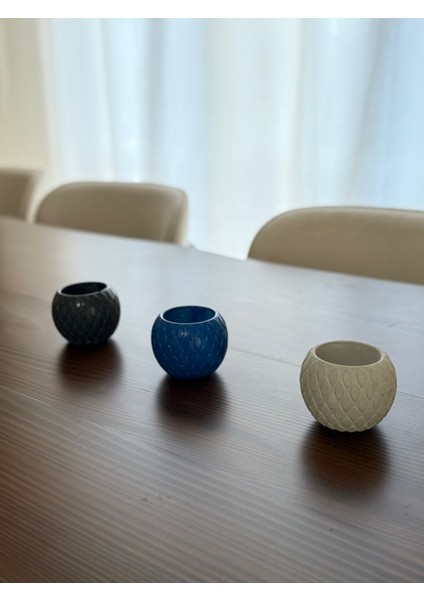 Sukulent Saksısı Beton Boyanabilir fırsatları