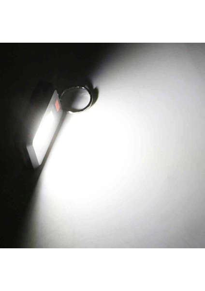 Ortam Aydınlatan 350 Lümen Anahtarlık WT-377 modelleri