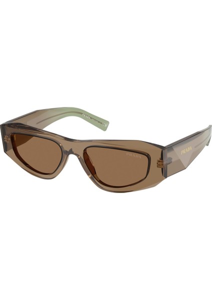 Güneş Gözlüğü Pr B19S 52 29E90F