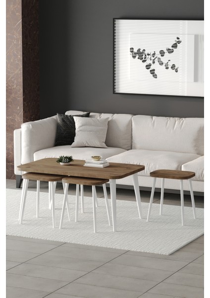 Zigon ve Orta Sehpa 5'li Takım , Metal Ayaklı , Roma 4+1 Sehpa , Beyaz Metal - Atlantik Çam Tabla fiyatları