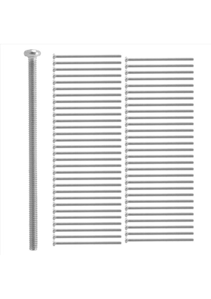 60 x Gümüş Ton M2 * 40MM 304 Paslanmaz Çelik Yuvarlak Kafa Vidaları Cıvata (Yurt Dışından)