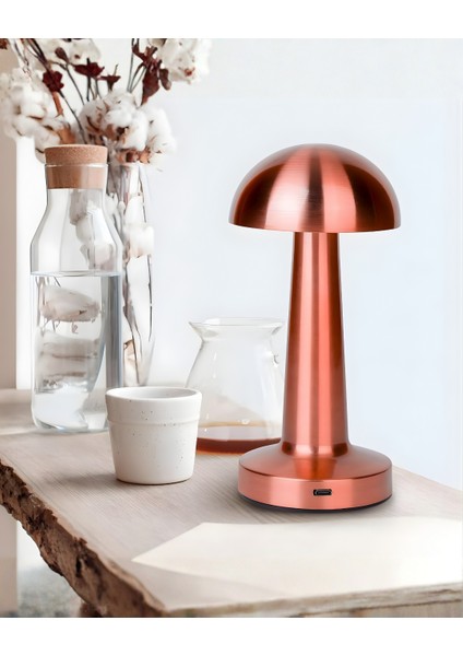 ® Mantar Model Bronz Renk Şarjlı Dokunmatik 3 Renkli LED Masa Lambası modelleri