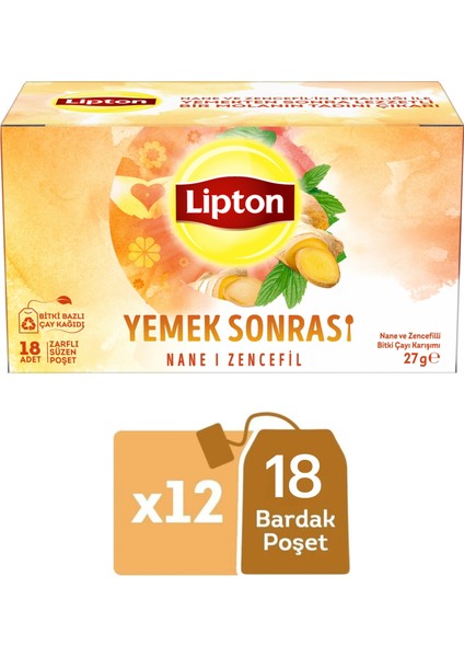 Yemek Sonrası Nane ve Zencefil Bitki Çayı Karışımı 18LI x 12 Adet