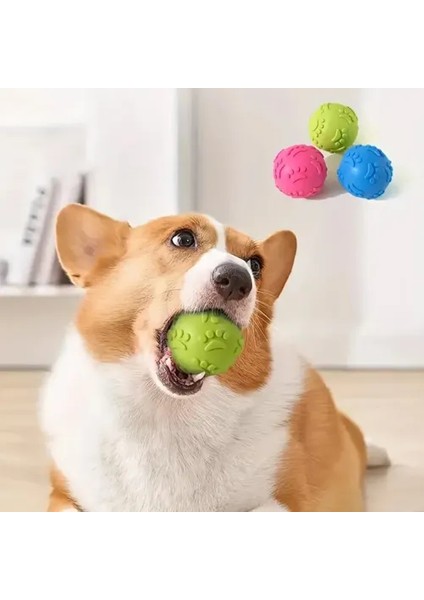 Pati Desenli Köpek Isırma Topu fiyatları