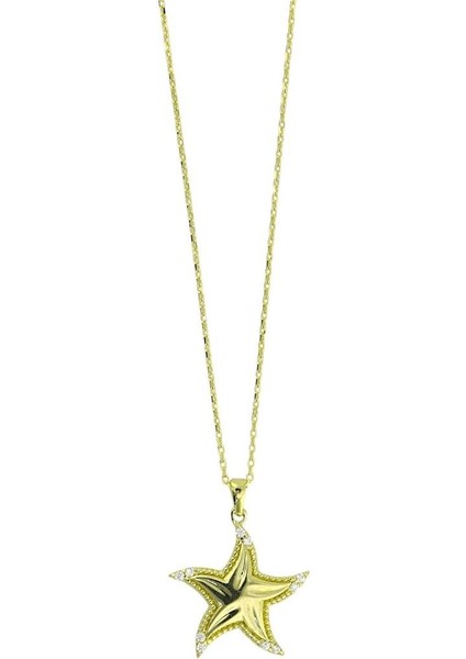 14 Ayar Altın Yıldızlı Kolye - F004739 modelleri