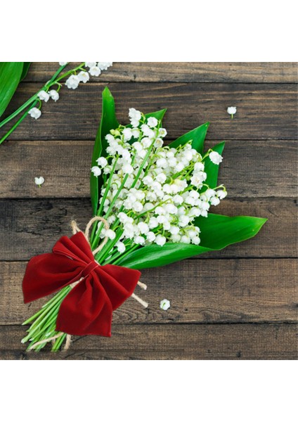 8 Kırmızı Yay Peçete Tutucu Yüzükleri, Velvet Yay Noel Peçetesi Tutar Toka Masa Dekorasyonu Noel Tatili Partisi Yemeği (Yurt Dışından) modelleri