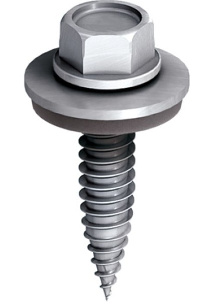 Sivri Uçlu Çatı Vidası (40'lı Paket)