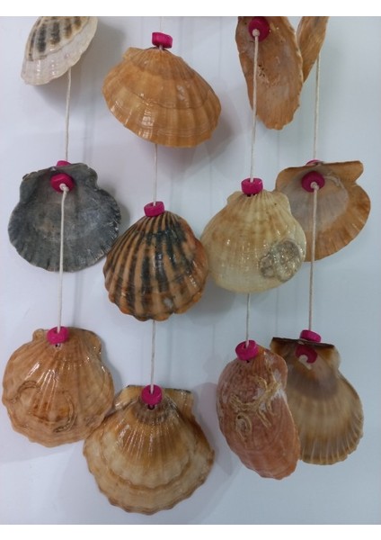 Shell Figürlü Boncuklu 4'lü Rüzgar Gülü indirimleri