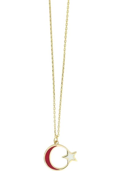 14 Ayar Altın Ayyıldız Kolye - 0196728