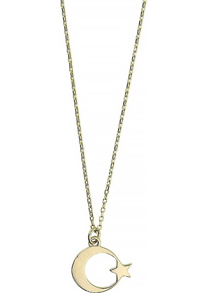 14 Ayar Altın Ayyıldız Kolye - 0202238