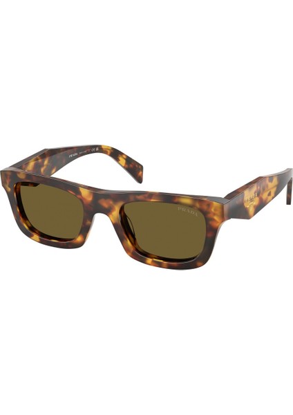 Güneş Gözlüğü Pr C06S 50 14L09Z