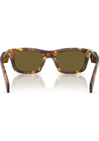 Güneş Gözlüğü Pr C06S 50 14L09Z fiyatları