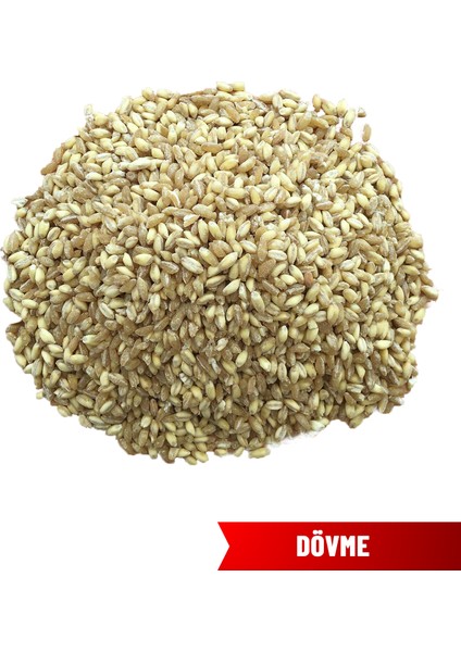 Elazığ( Baskil) Dövme