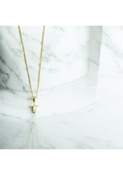 14 Ayar Altın Yıldızlı Kolye - 0201261 fiyatları