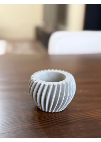 Sukulent Saksısı Boyanabilir Beton