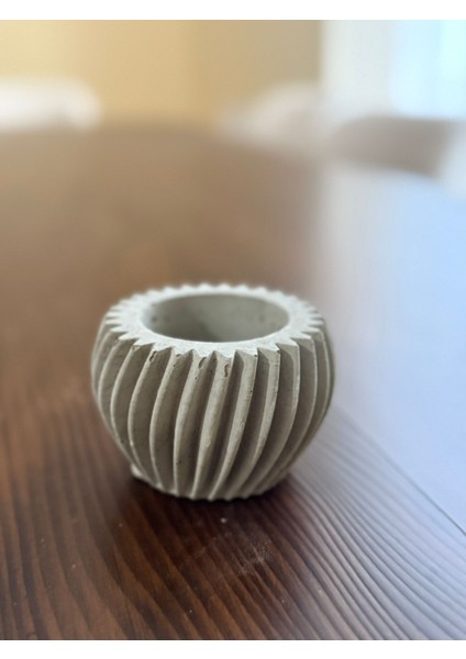 Sukulent Saksısı Boyanabilir Beton fiyatları