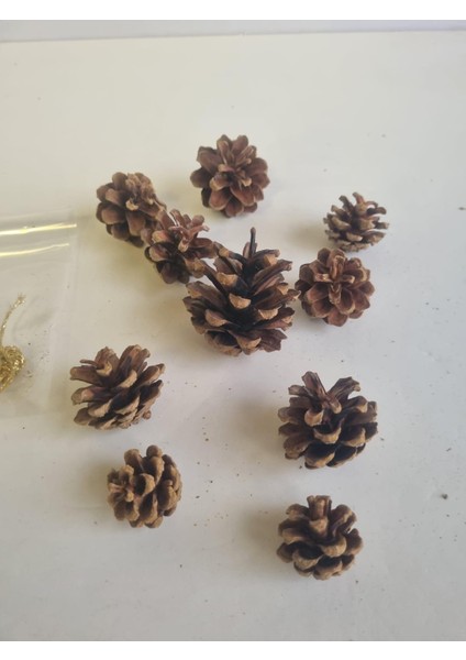 (Boyasız)10'lu Ham Doğal Kozalak Seti – Simli Gold Ipli Yılbaşı Çam Ağacı Etkinlik Süsü fiyatları