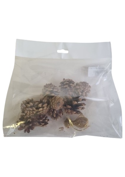 (Boyasız)10'lu Ham Doğal Kozalak Seti – Simli Gold Ipli Yılbaşı Çam Ağacı Etkinlik Süsü modelleri