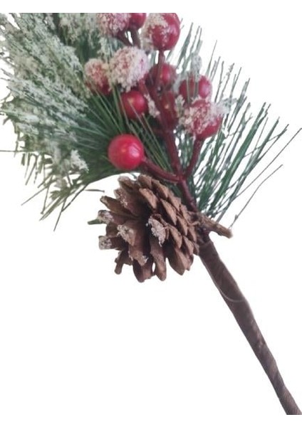 (Boyasız)10'lu Ham Doğal Kozalak Seti – Simli Gold Ipli Yılbaşı Çam Ağacı Etkinlik Süsü indirimleri