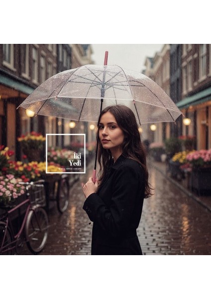 Robzom Pembe Şeffaf Şemsiye | Romantik Tarzda Şeffaf Kubbe Şemsiye (90X70 Cm) Hediyelik Eşyalar