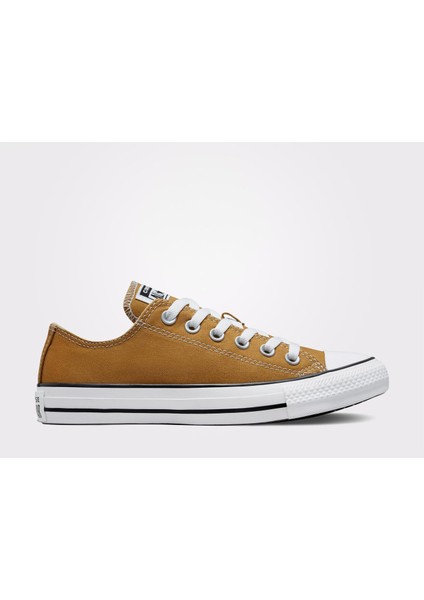 Chuck Taylor All Star Seasonal Erkek Spor AYAKKABISI(A02801C.296)