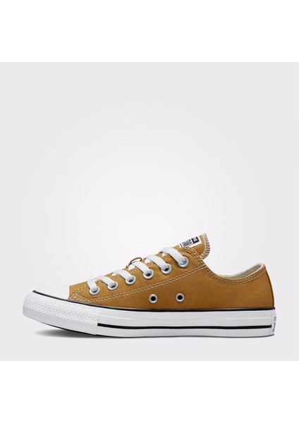 Chuck Taylor All Star Seasonal Erkek Spor AYAKKABISI(A02801C.296) modelleri