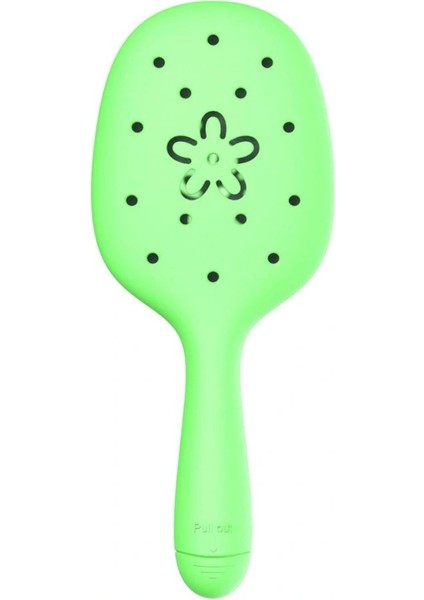 Saç Fırçası Yeşil fırsatları