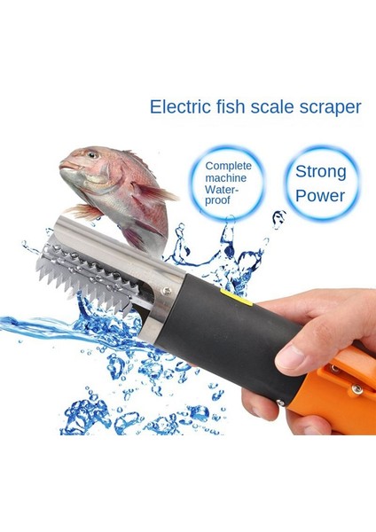 Elektrik Balık Scaler 6800 Forward ve Ters Balık Ölçeği Çıkartma Deniz Ürünleri Aracı Temizleyici Su Geçirmez Taşınabilir Temizleyici Ab Fiş (Yurt Dışından) modelleri
