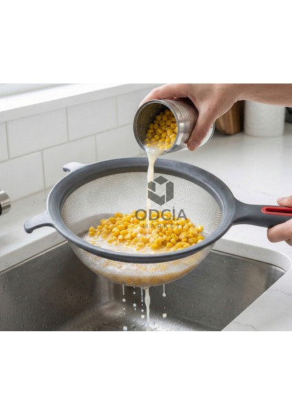 Plastik Süzgeç 22CM BRNS.13040