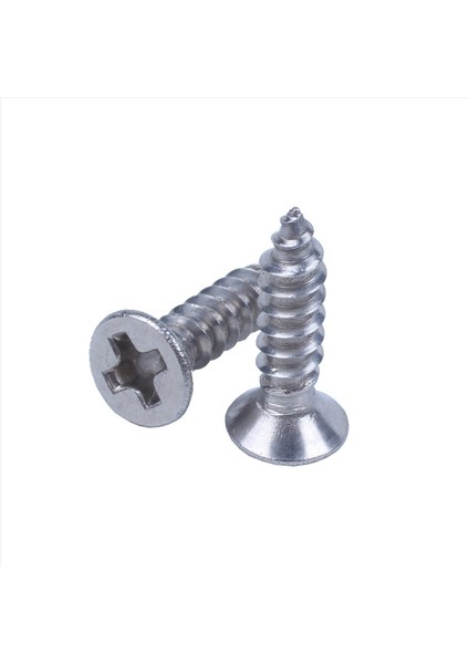 300X Paslanmaz Çelik Düz Kafa Phillips Kendi Kendine Dokunma Vidası 12X3MM Gümüş (Yurt Dışından) modelleri