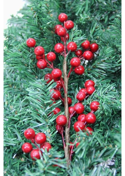 Kırmızı Yapay Berry Dalı 51 Cm, Beyaz Renkli Dekoratif Bitki Parçası indirimleri