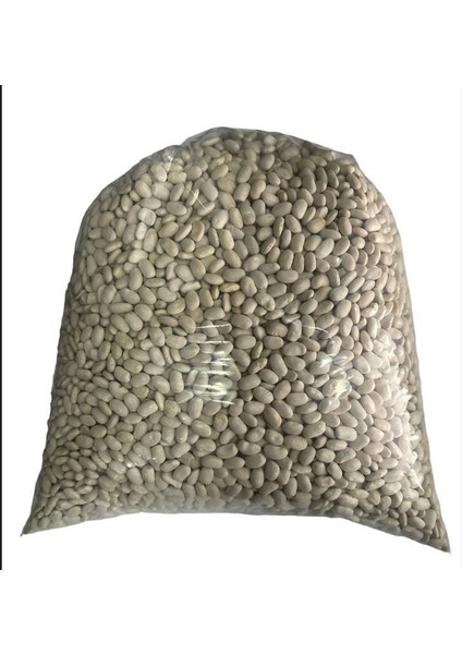 Ahlatkuru Fasülye fiyatları