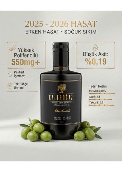 Milas Memecik Natürel Sızma Zeytinyağı Yeni Hasat 500ML