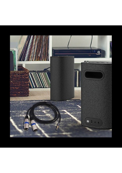 2x Çok Işlevli Ses Kablosu 3 5/6 35MM Erkek Jack To Double Xlr Erkek Kriko Kablosu Xlr Uzatma Kablosu 6 35/3 5mm 3m (Yurt Dışından) fırsatları