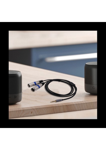 2x Çok Işlevli Ses Kablosu 3 5/6 35MM Erkek Jack To Double Xlr Erkek Kriko Kablosu Xlr Uzatma Kablosu 6 35/3 5mm 3m (Yurt Dışından) indirimleri