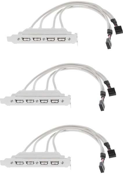 3x Çift Anakart 9pin Başlığı 4port USB 2 0 Dişi Kablo Pcı Braketi (Yurt Dışından)