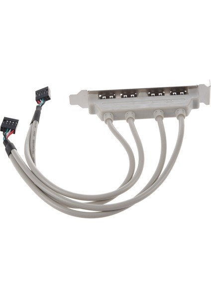 2x Ana Pano 4 Port USB 2 0 Ila 9 Pin Başlık Braketi Uzatma Kablosu (Yurt Dışından) modelleri