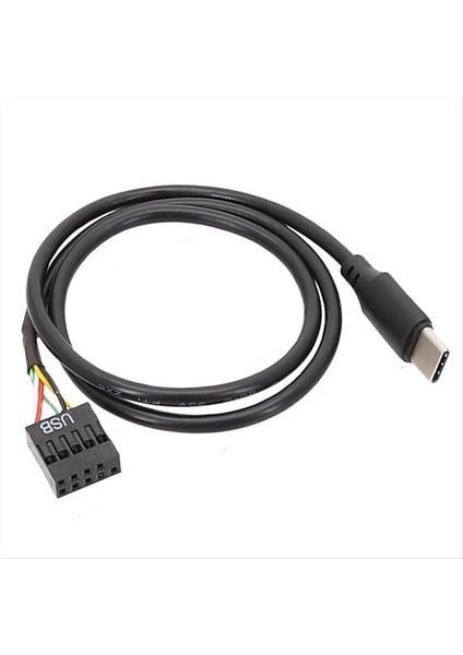 1pcs USB 9pin - USB Tip C Kablosu Bilgisayar Anakartına Usbc Ikincil Ekran Pc LCD Ekran 9pın USB Kablo Adaptörü (Yurt Dışından)