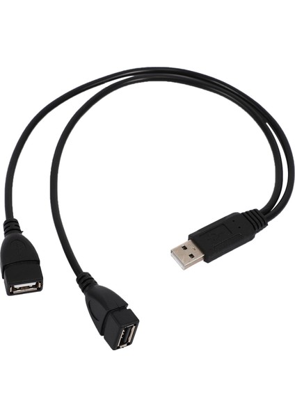 2x USB 2 0A Erkek Auf 2 Çift USB Dişi Jack Y Splitter Verteiler Adaptörü Kabel (Yurt Dışından) modelleri
