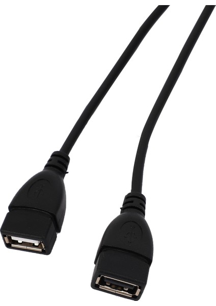 2x USB 2 0A Erkek Auf 2 Çift USB Dişi Jack Y Splitter Verteiler Adaptörü Kabel (Yurt Dışından) indirimleri