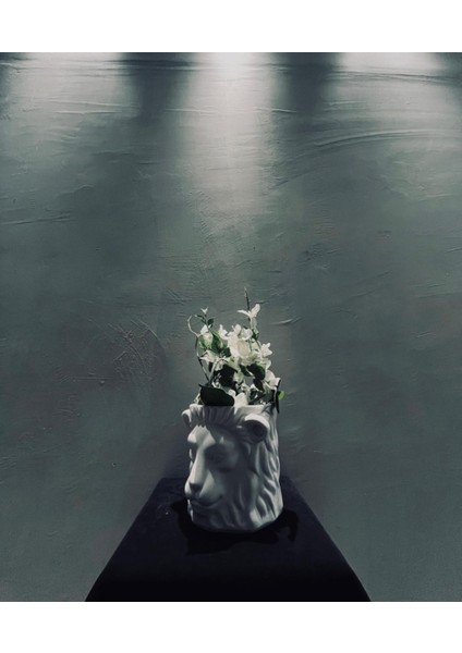 Dekoratif Aslan Başlı Saksı – 20X20 cm Polyester Vazo, Sanatsal Ev ve Ofis Aksesuarı fiyatları