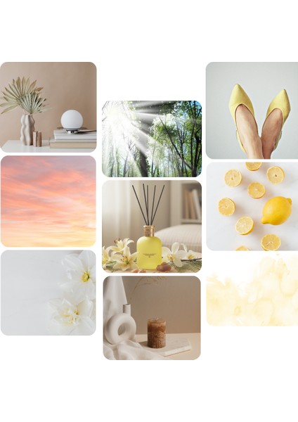 Dıffuser Irıs Blush - M fiyatları